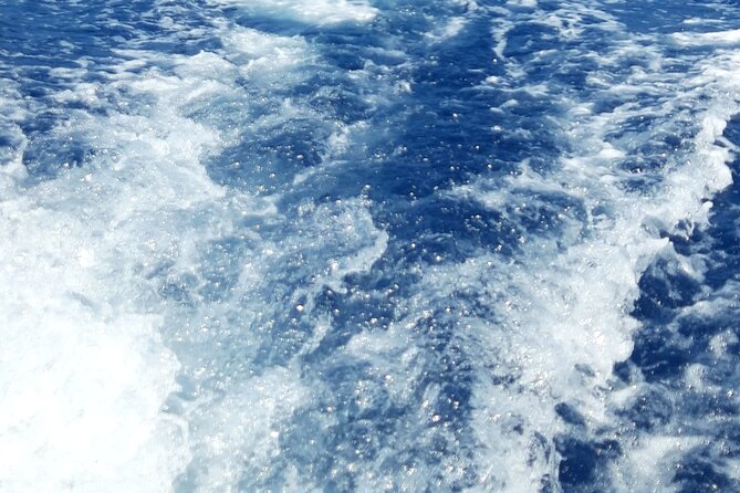 Athens Greece Private Day Cruises ALL INCLUSIVE Fuel BBQ Meal - Booking and Pricing Information