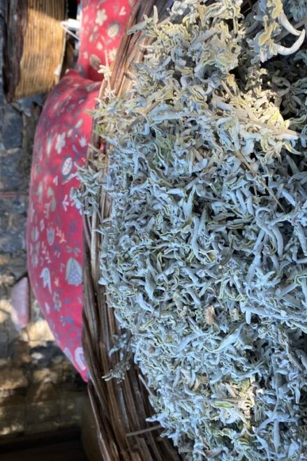 Athens: Greek Brunch Experience With Amazing Views - Accessibility and Cancellation Policy