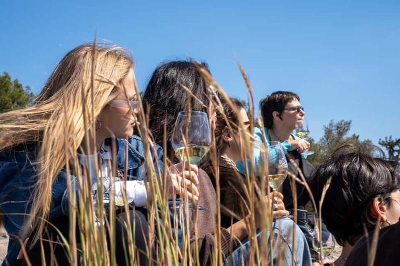 Athens: Greek Wine Tasting and Picnic on Philopappou Hill - Who Will Love This Tour?