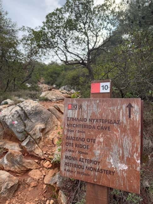 Athens: Hymettus Bat Cave Hiking Semi-Private Tour - What Visitors Say: Authentic Perspectives