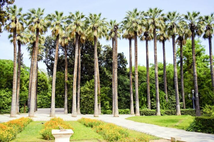 Athens Instagram Tour: The Most Scenic Spots - Tour Details