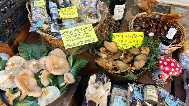 Athens: Kalavrita UNESCO Global Geopark & Pounta Beach Swim - Relaxing by Pounta Beach