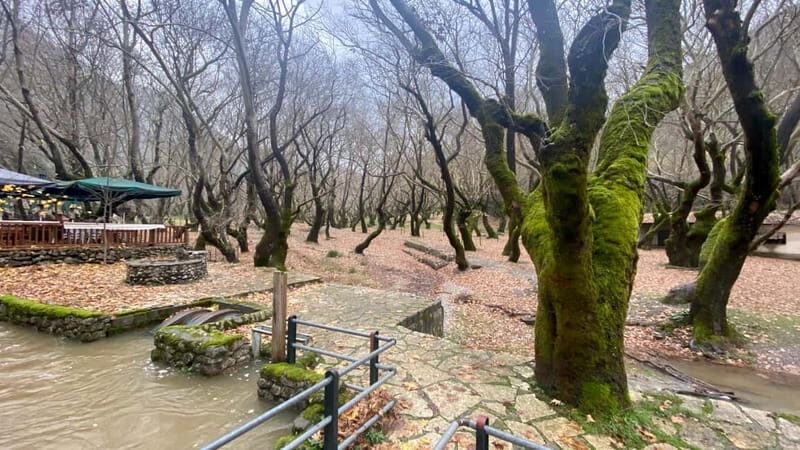 Athens: Kalavrita UNESCO Global Geopark & Pounta Beach Swim - Cost and Value