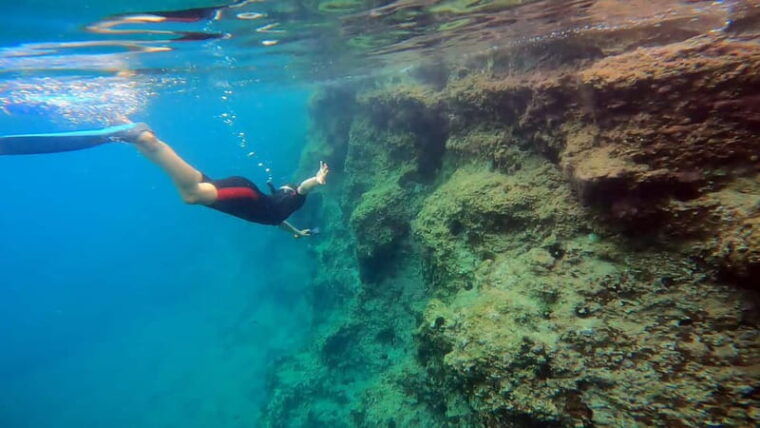 Athens: Marathon Cape and Bay of Schinias Snorkeling Trip - What to Expect at Each Point