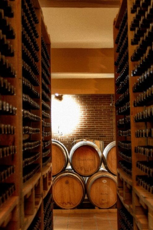 Athens: Nafplio and Nemea Wine Tasting Day Trip - Trip Details