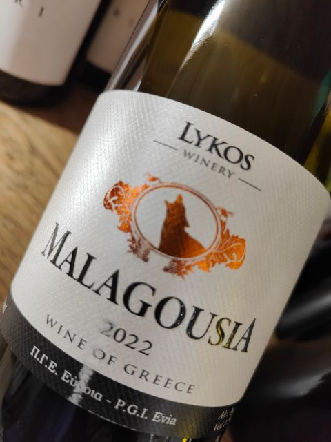 Athens Old Town: Wine Tasting Based on Ancient Greek Grapes - Terroirs and PDO Wine Regions