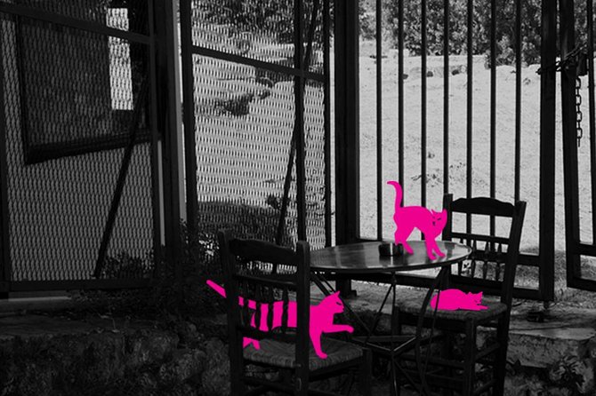 Athens: on the Prowl- Cats of Athens Plaka, Self-Guided Audio Tour on Your Phone - Overview of the Self-guided Athens Tour