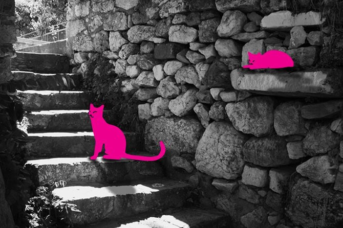 Athens: on the Prowl- Cats of Athens Plaka, Self-Guided Audio Tour on Your Phone - Exploring the Cat-prowled Plaka and Agora