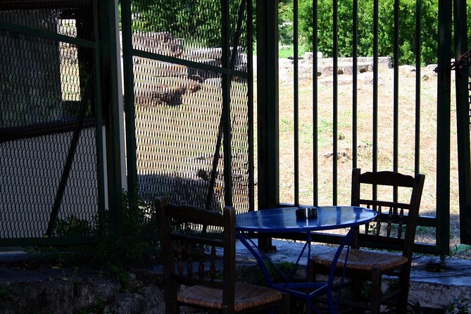 Athens: on the Prowl- Cats of Athens Plaka, Self-Guided Audio Tour on Your Phone - Reviews and Ratings From Viator and Tripadvisor