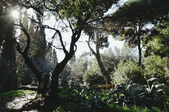 Athens Outdoor Escape Room - Overview and Inclusions