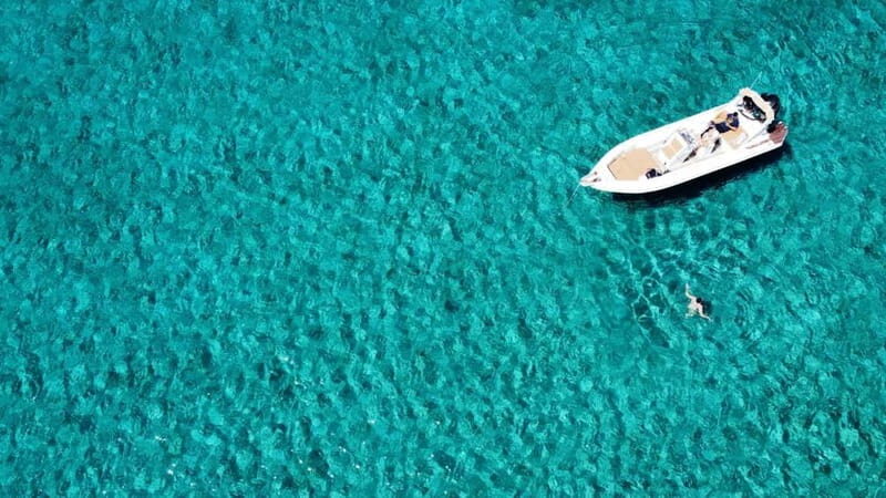 Athens Private Cruise Snorkeling Marathon Nea Makri Schinias - The Pros and Cons