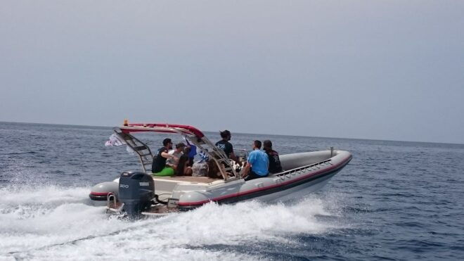 Athens: Private Cruise With Snorkeling and Swimming - Highlights