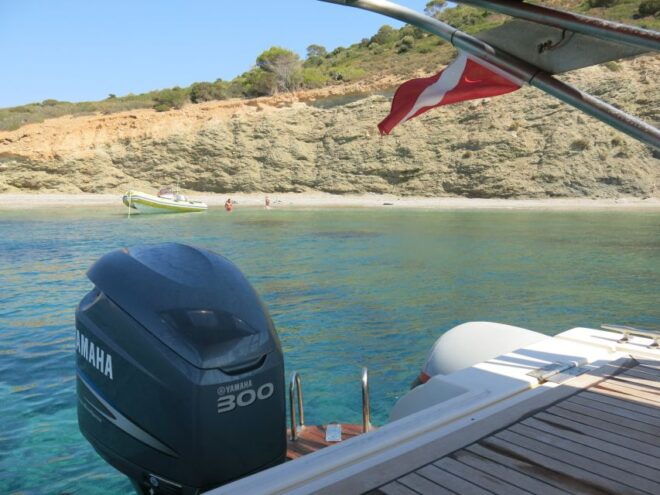 Athens: Private Cruise With Snorkeling and Swimming - Reviews