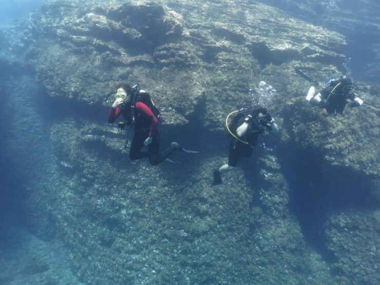 Athens: Private Discover Scuba Diving for Beginners - Activity Details