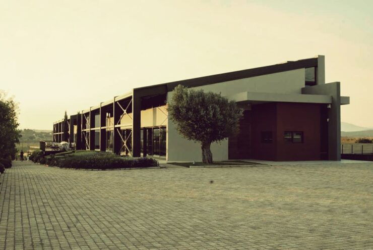 Athens: Private Wine Tour and Lunch at the Seaside - Tour Details