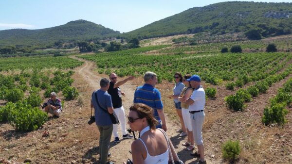 Athens: Private Wine Tour and Lunch at the Seaside - Directions