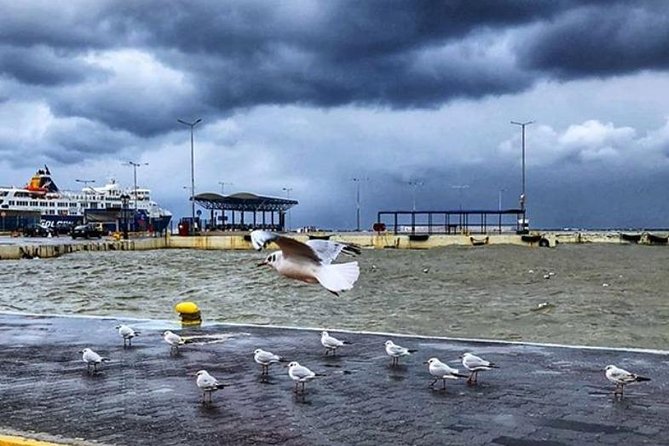 Athens-Rafina Port (Rafina Port-Athens) - What to Expect During the Athens-Rafina Port Trip