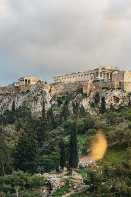 Athens: Rare Greek Wine Tasting W/Sommelier by the Acropolis - Customer Reviews