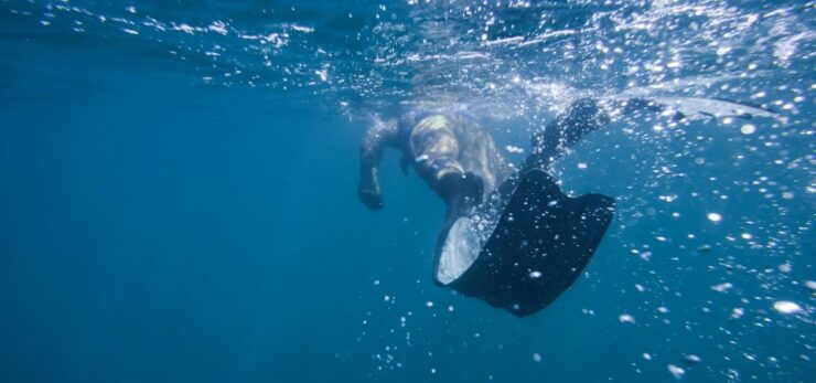 Athens: Riviera Private Boat Experience With Snorkeling - Activity and Booking Details