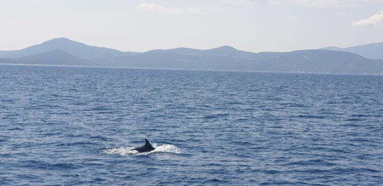 Athens Riviera Private Catamaran Cruise with Meal and Drinks - The Authentic Experience: Why It Matters