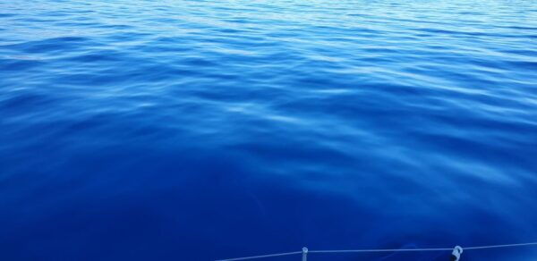 Athens Riviera Private Catamaran Cruise With Meal and Drinks - The Sum Up