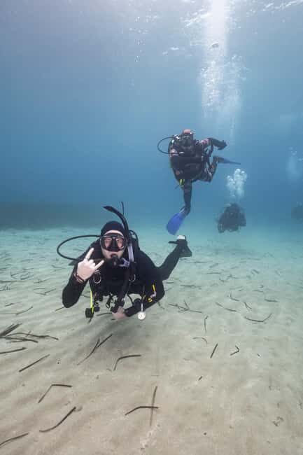 Athens: Single or Double Scuba diving for certified divers - Discovering Athens’ Underwater Charm