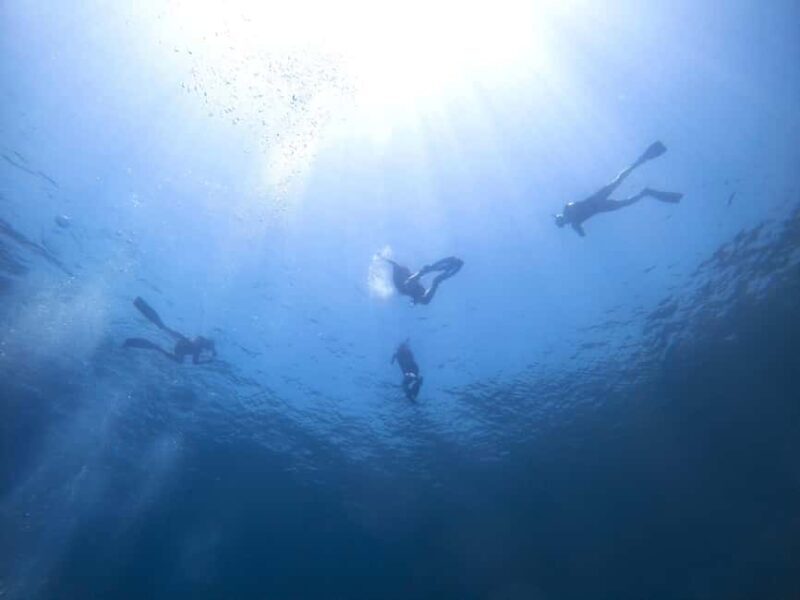 Athens: Snorkeling Riviera Adventure - Good To Know