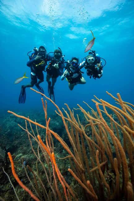 Athens: Snorkeling Tour - An In-Depth Look at the Athens Snorkeling Tour