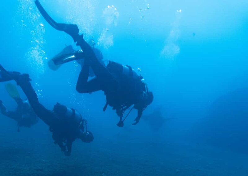 Athens: Snorkeling Tour - Why This Tour Works for Different Travelers