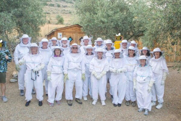Athens to Delphi Guided Day Tour With Honey Farm & Lunch - Important Information