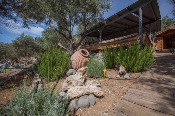 Athens to Delphi Guided Day Tour With Honey Farm & Lunch - Directions