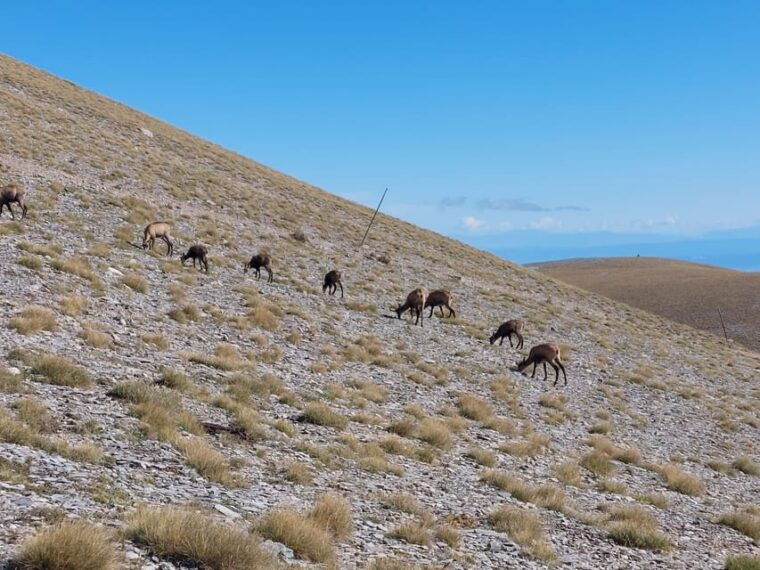 Athens to Mount Olympus: 2 days private tour - Overnight Stay in the Mountain Refuge or Litochoro