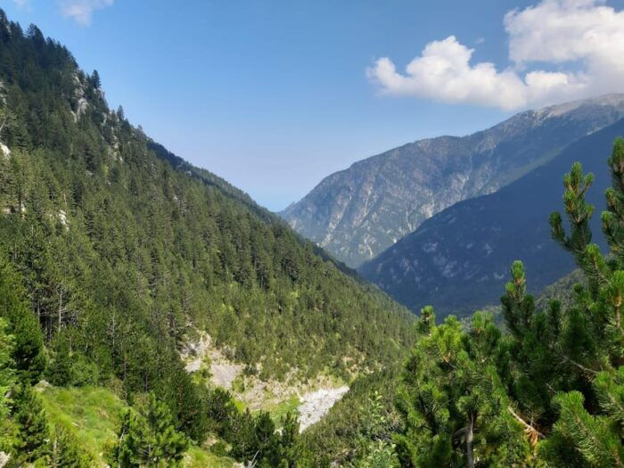 Athens to Mount Olympus: 2 days private tour - The Sum Up: Is This Tour Right for You?