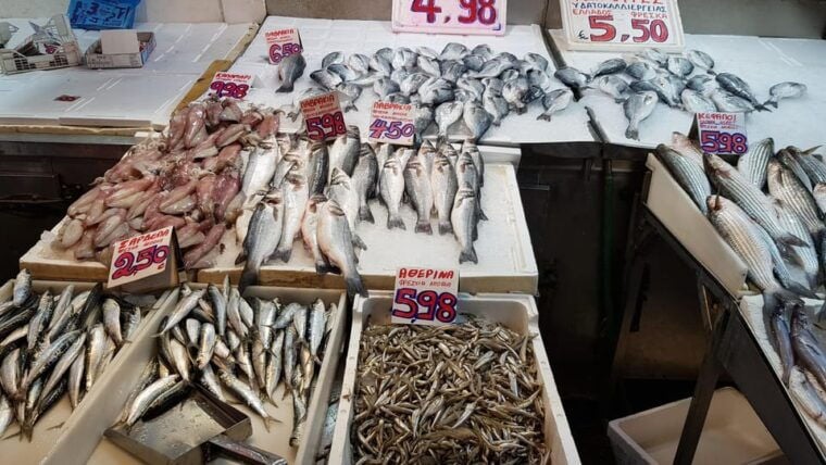 Athens: Traditional Greek food tour in hidden spots - FAQ