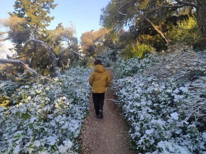 Athens: Ultimate Sunrise Hike - Whats Included & Practical Details