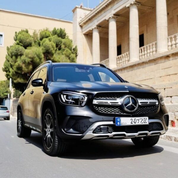 Athens VIP Transfer : Airport/Port & City Transfers - Contact and Support Options