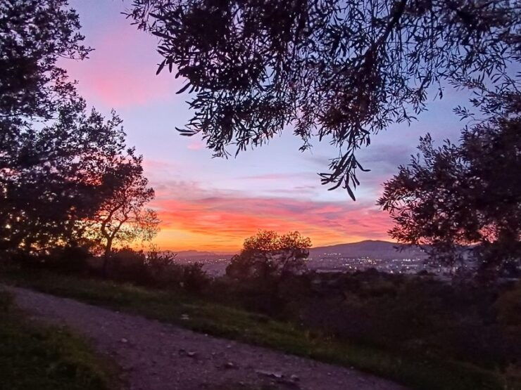 Athens Western Hills Guided by Locals Walking Tour - Language Options and Group Size