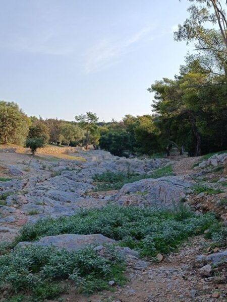 Athens Western Hills Guided by Locals Walking Tour - The Sum Up