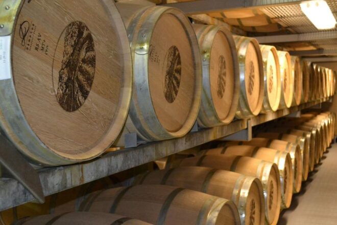 Athens Wine Tasting Group - Includes and Restrictions