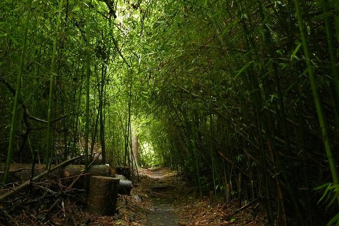 Atherton Tablelands and Waterfalls Full-Day Tour From Cairns  - Cairns & the Tropical North - Highlights and Attractions
