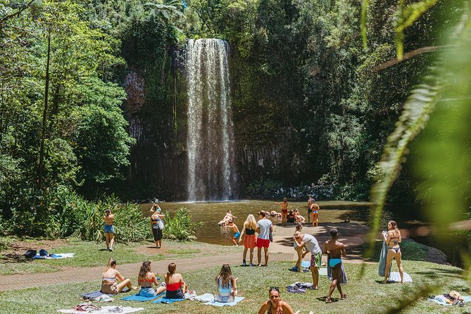 Atherton Tablelands Waterfalls and Rainforest Day Tour Departing Cairns - Tour Overview