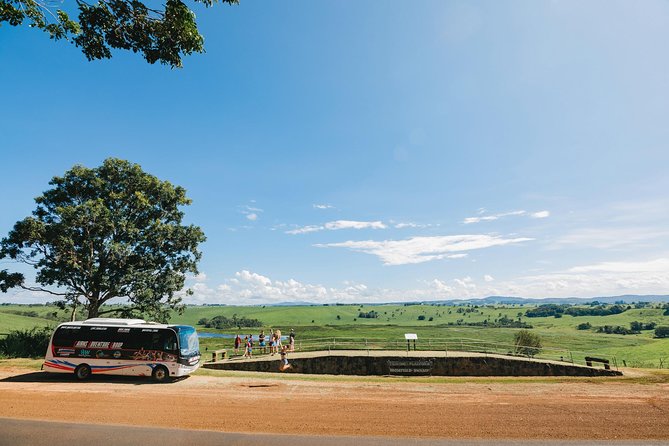 Atherton Tablelands Waterfalls and Rainforest Day Tour Departing Cairns - Customer Feedback and Recommendations