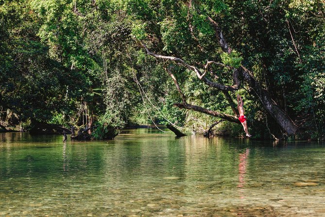 Atherton Tablelands Waterfalls and Rainforest Day Tour Departing Cairns - Common Questions