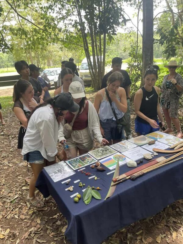 Atherton: Yidinji Explorer Tour with Fig Tree & Lake Barrine - Good To Know