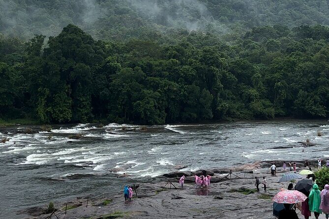 Athirappilly Waterfalls Day Trip from Kochi with Transfers - Who Should Consider This Tour?
