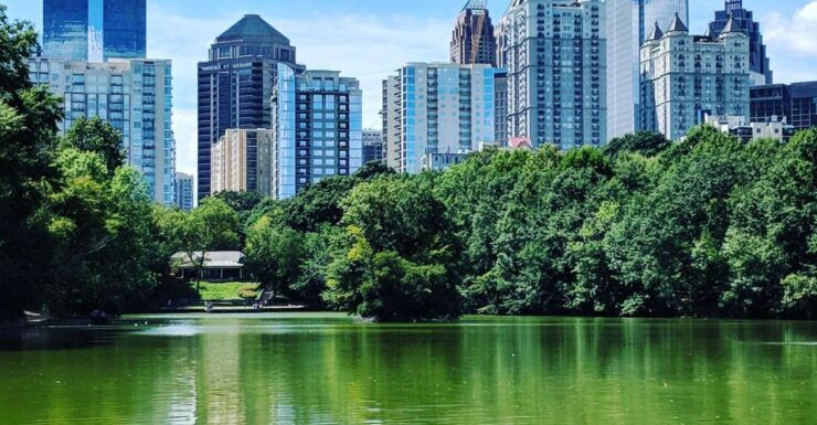 Atlanta: A City in a Forest Private Nature Tour - Experience Highlights