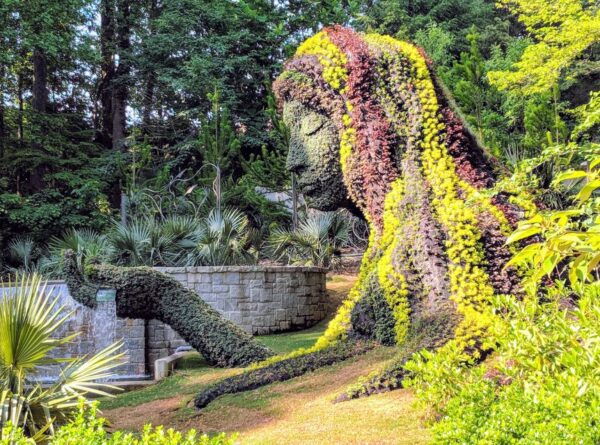 Atlanta: A City in a Forest Private Nature Tour - Common Questions