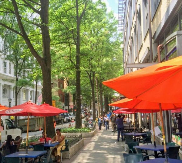 Atlanta: A City in a Forest Private Nature Tour - The Sum Up