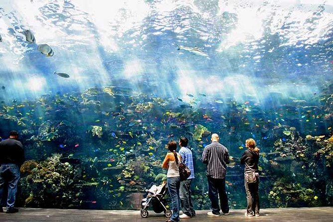 Atlanta Citypass, Including Atlantas Top Tourist Attractions - Accessibility and Convenience With Atlanta Citypass