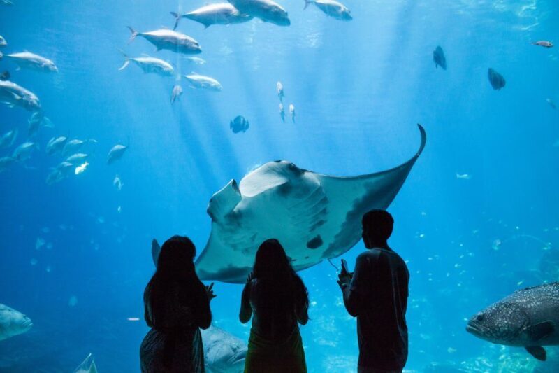 Atlanta CityPASS®: Save up to 49% at 5 Top Attractions - Good To Know